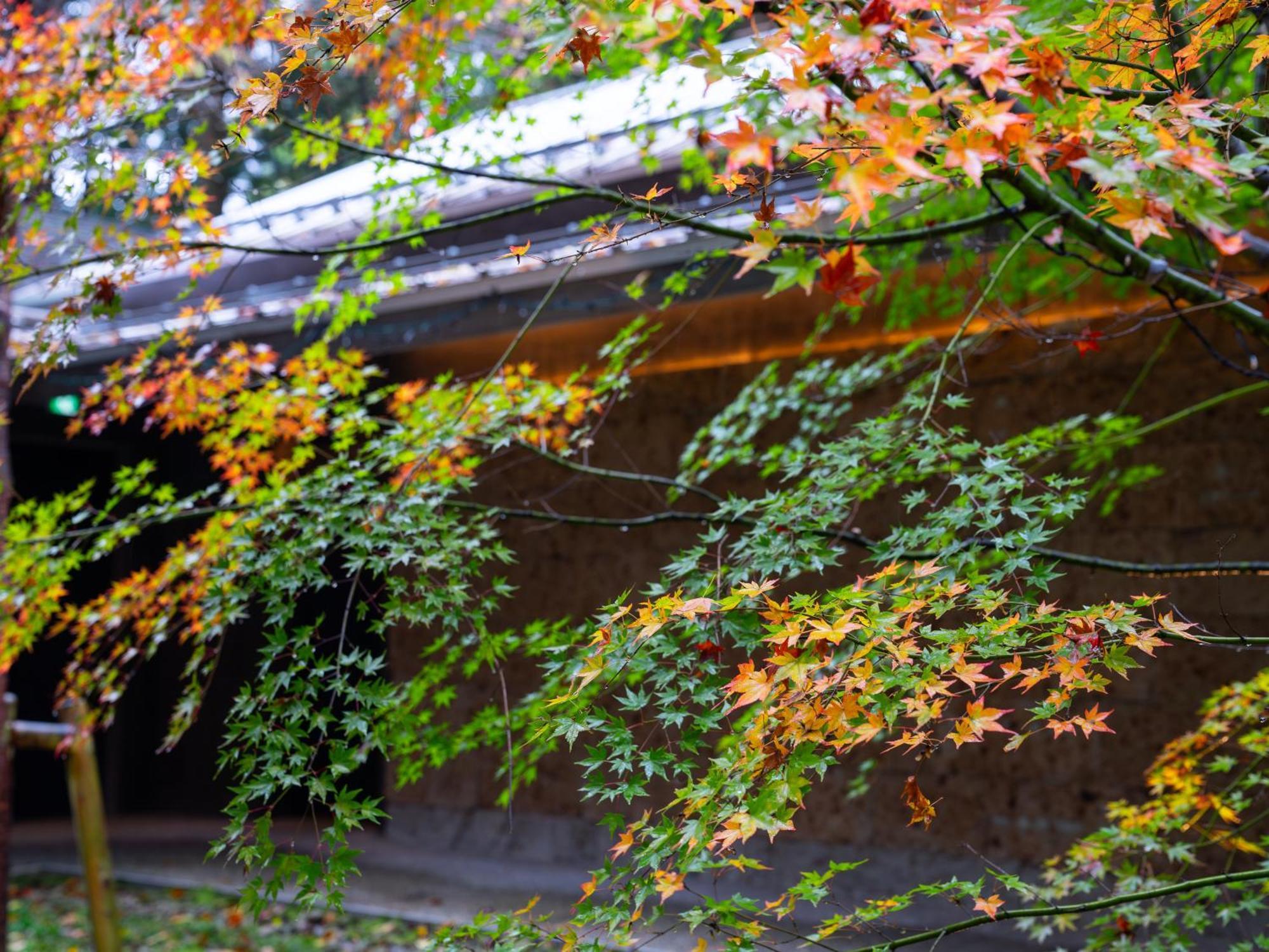 Nikko Nishimachi Club Exterior foto